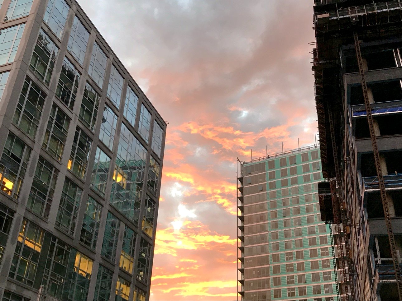 A glass tower and cranes in the last light