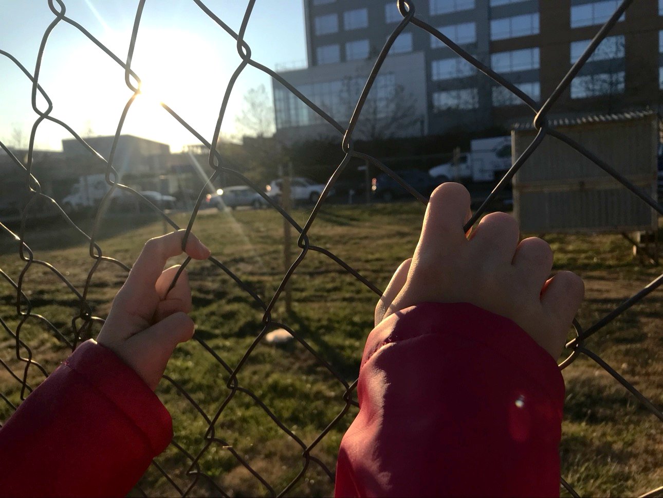 A child's hands in red sleeves holding a chain-link fence against the sun