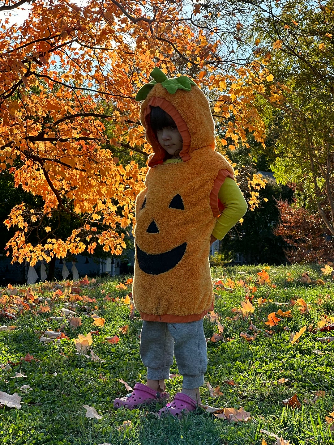 Zara in her pumpkin costume, hands on hips, under the autumn maples